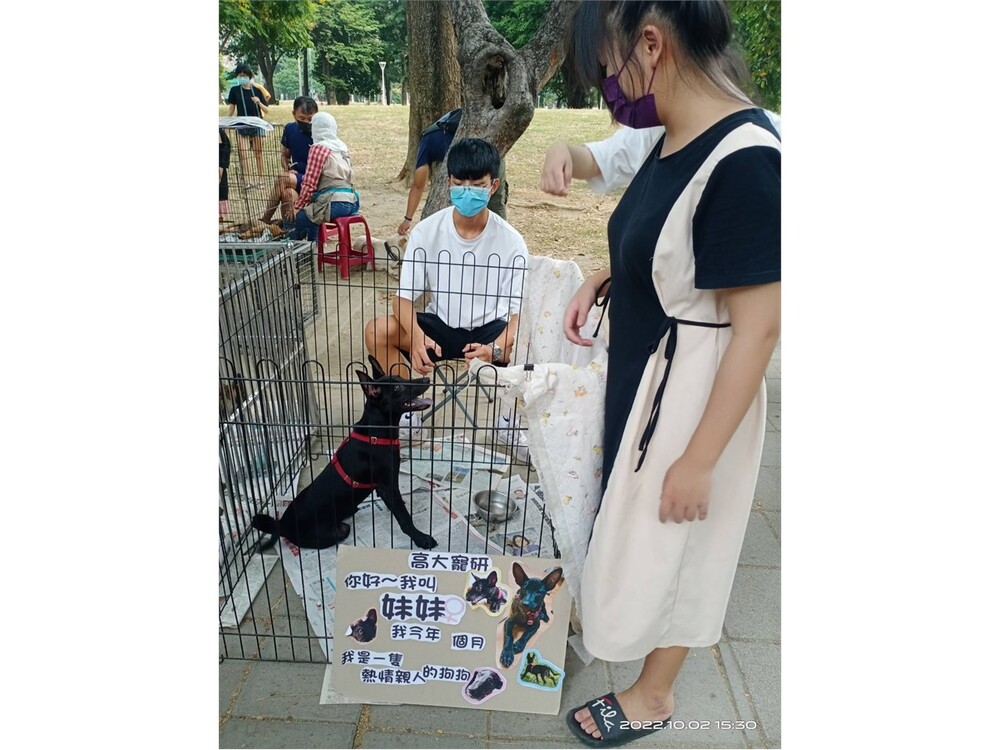 圖片說明