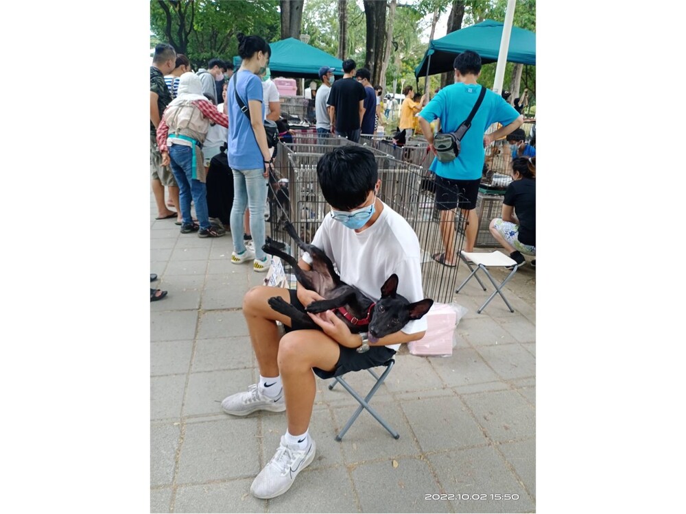 圖片說明