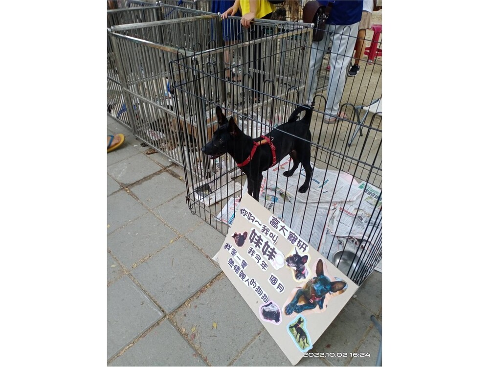 圖片說明