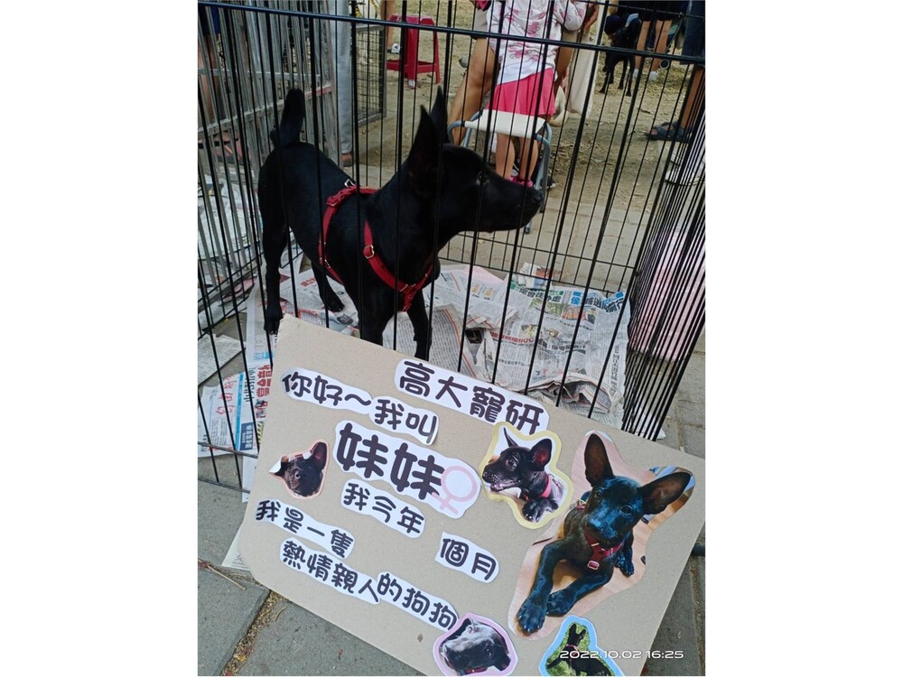 圖片說明