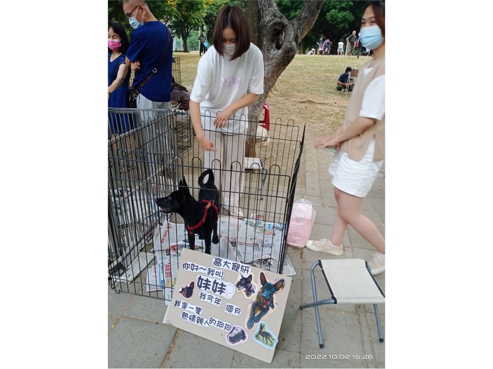 圖片說明