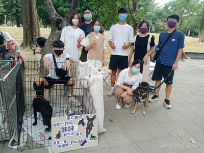 台灣愛狗人協會送養會-2022/10/2圖片