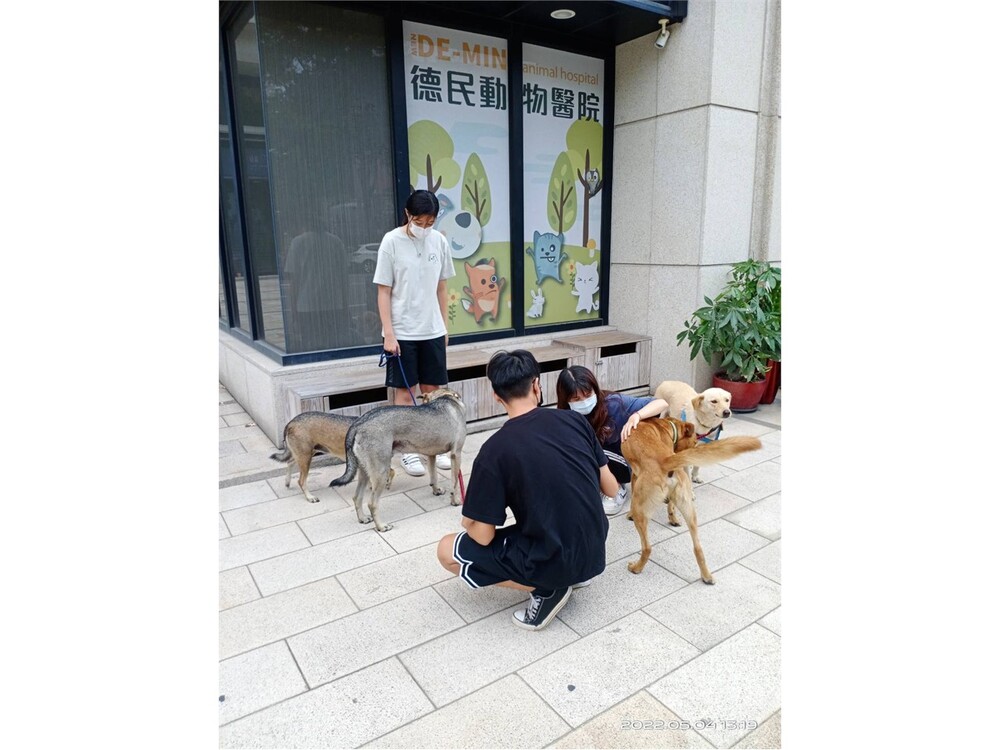 圖片說明