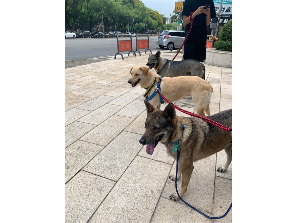 圖片說明