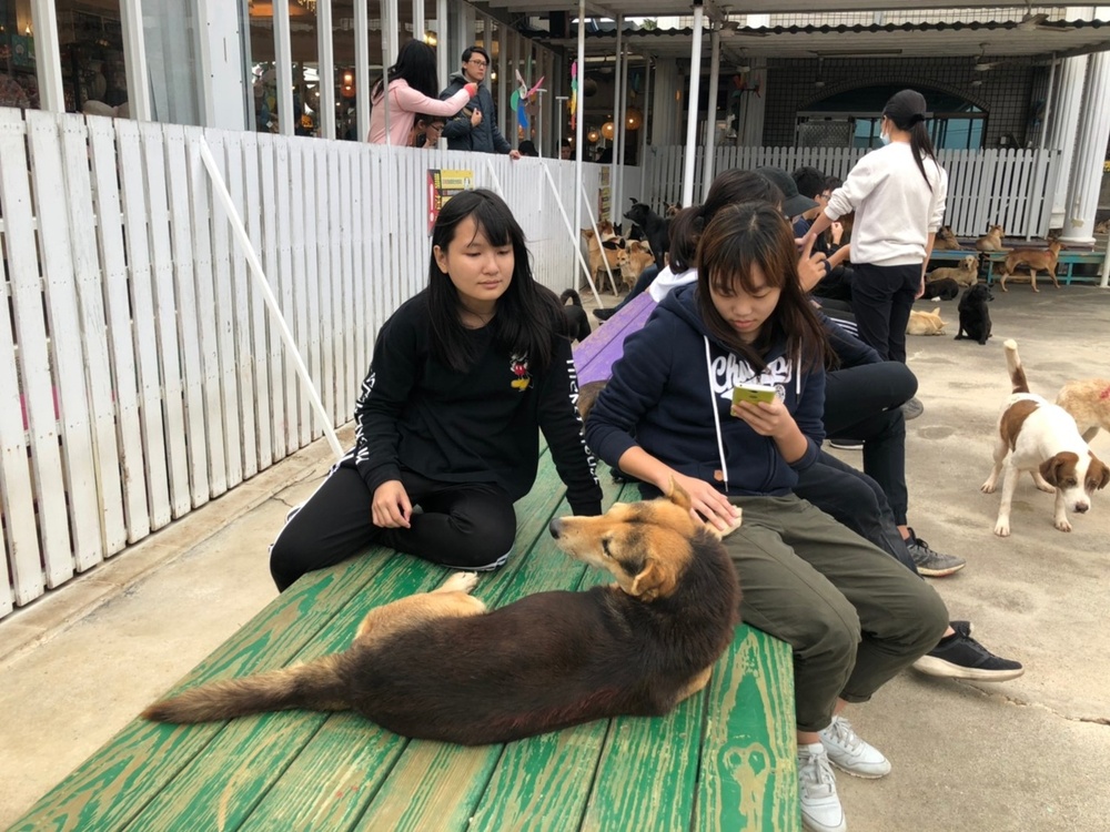 圖片說明
