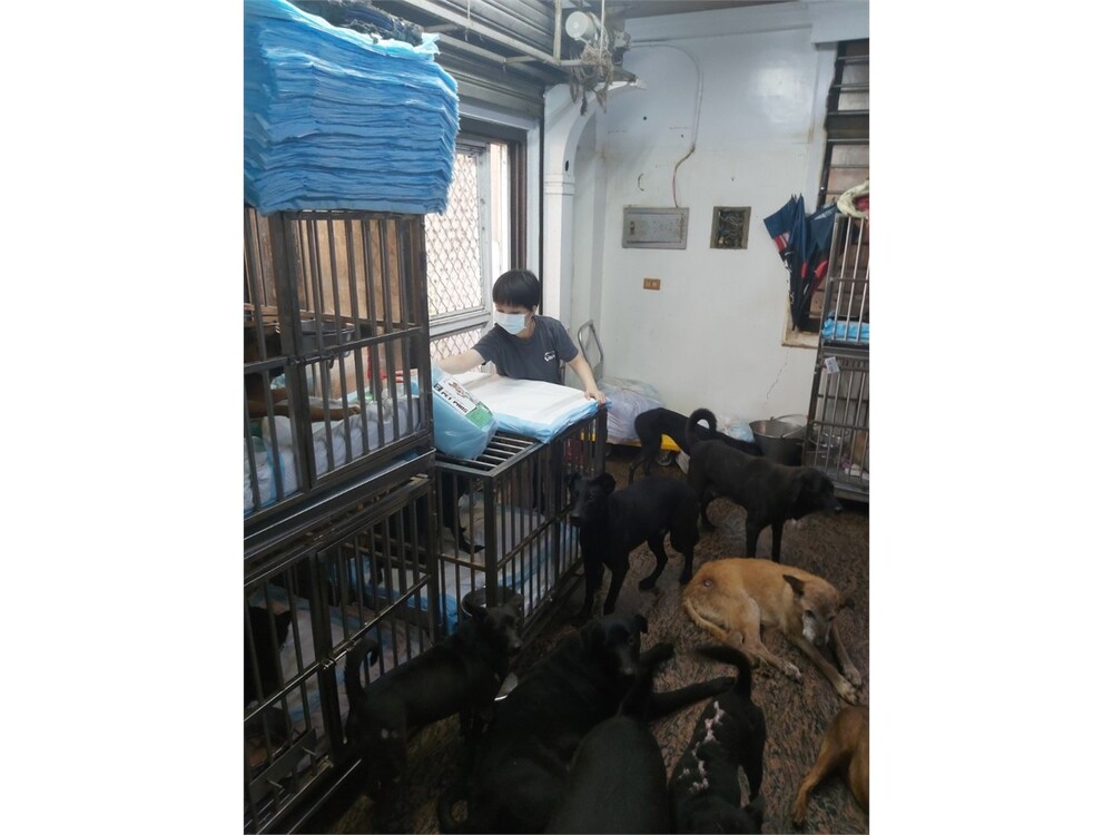 圖片說明