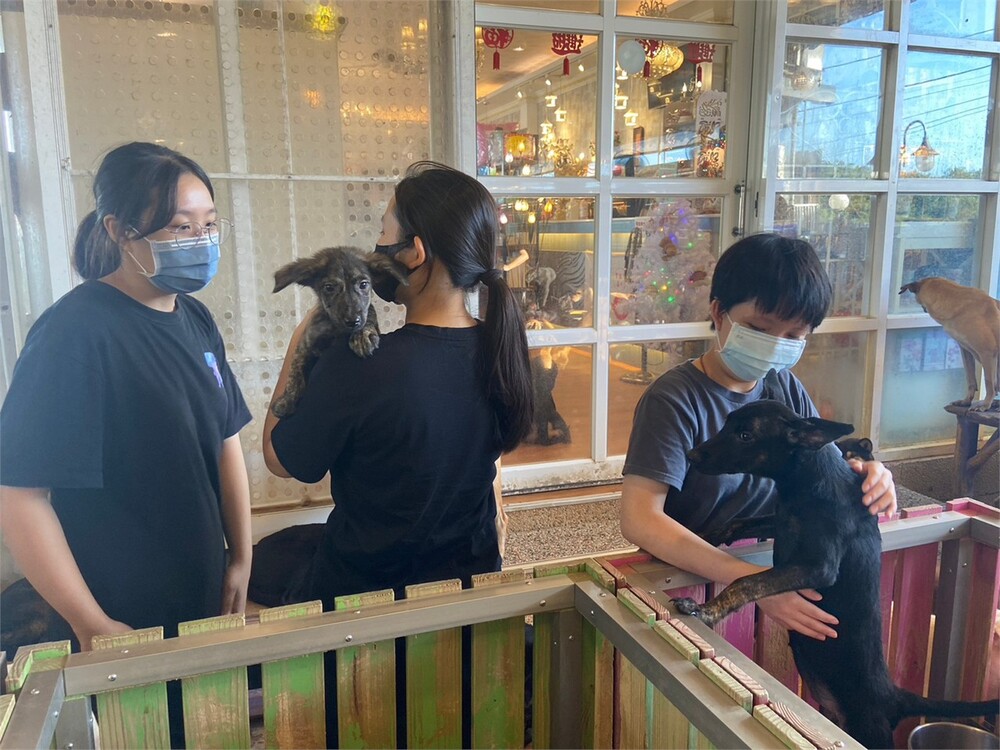 圖片說明