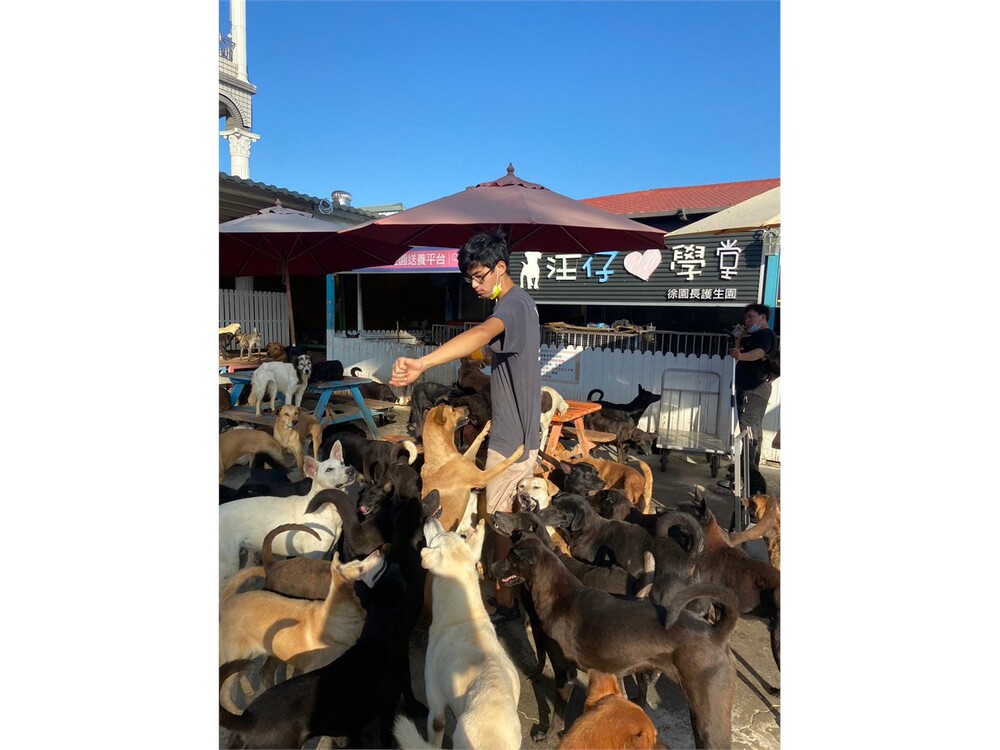 圖片說明