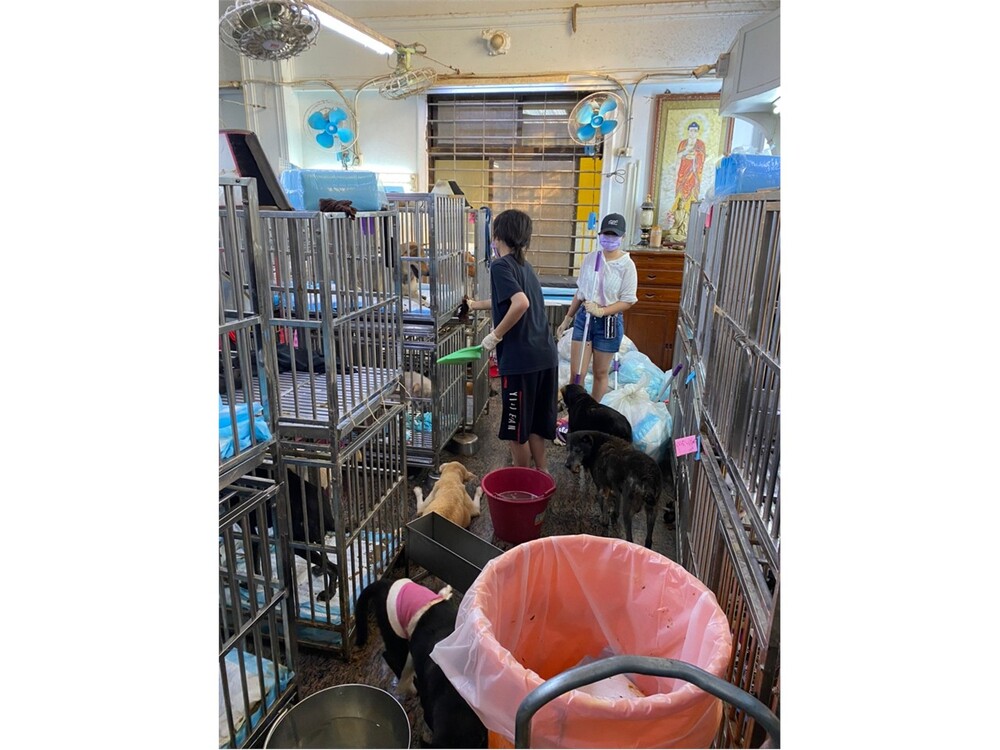 圖片說明