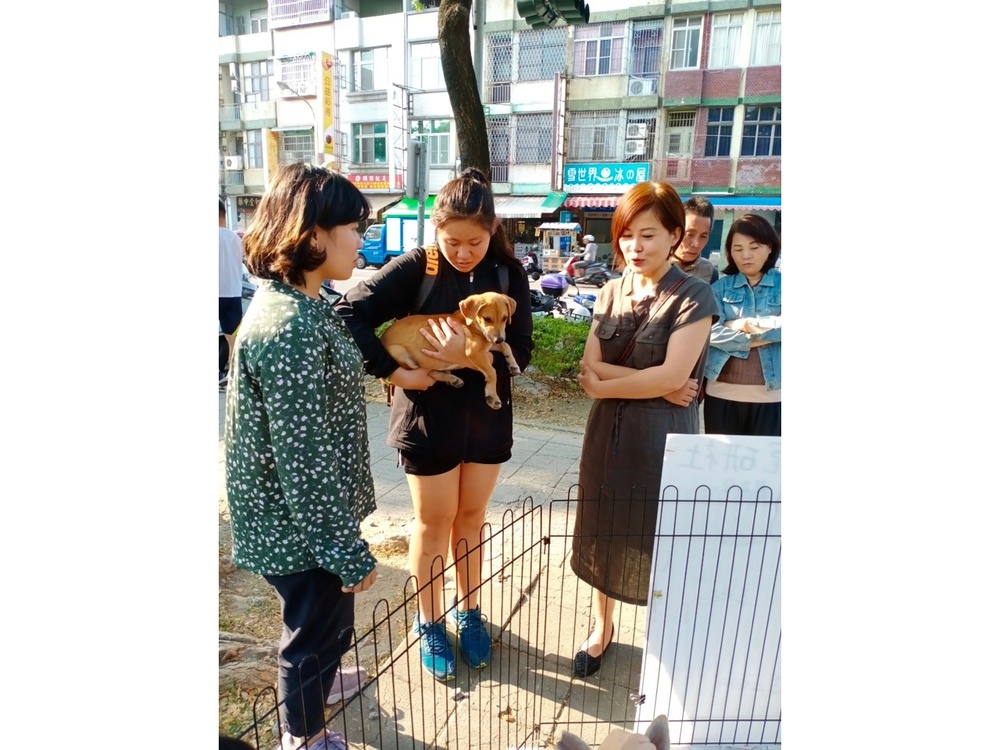 圖片說明