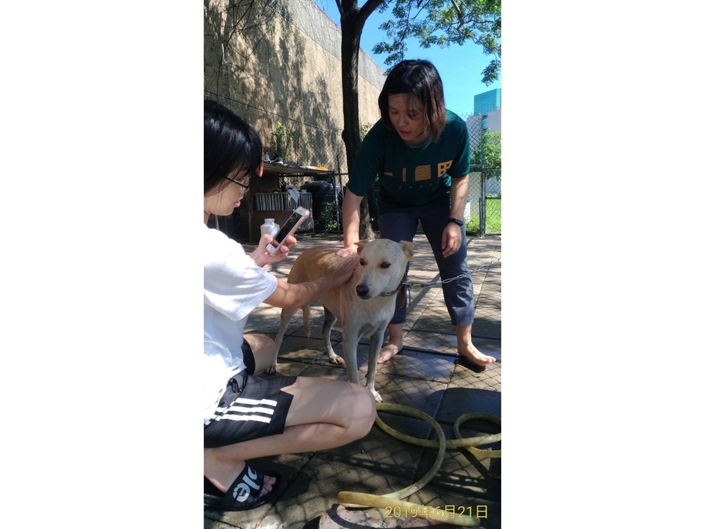 圖片說明