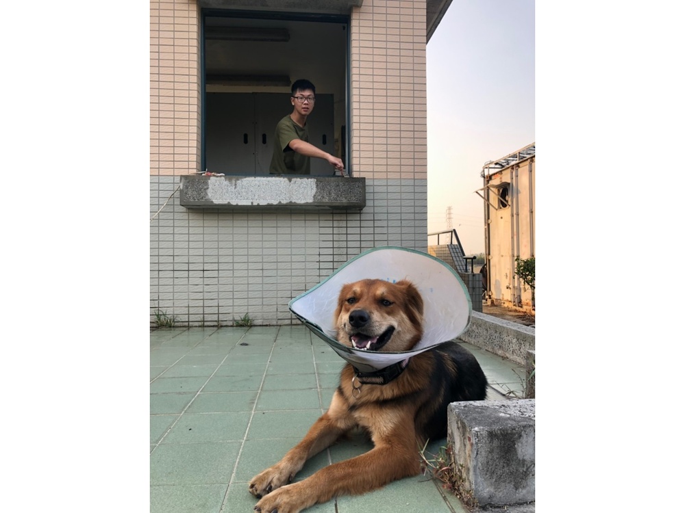 圖片說明