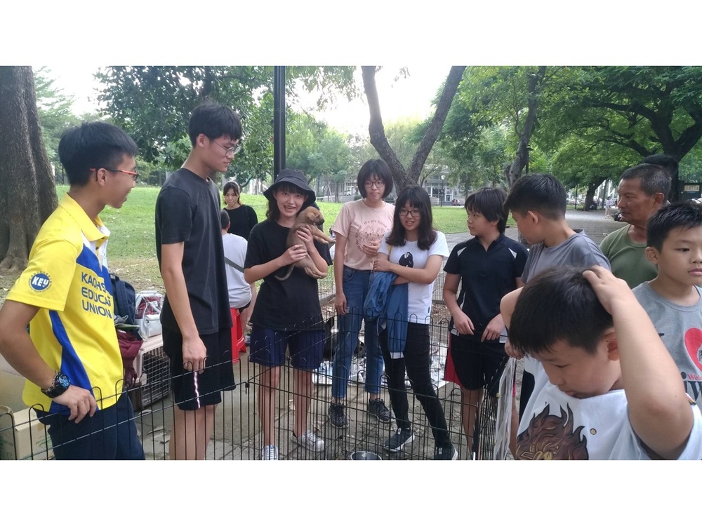 圖片說明