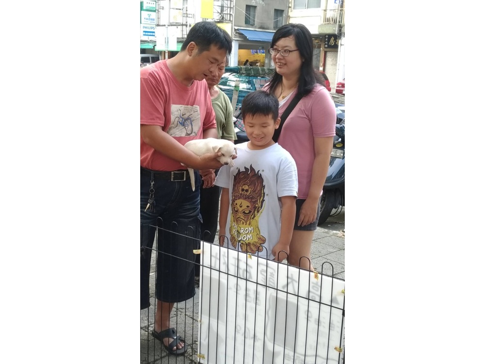 圖片說明
