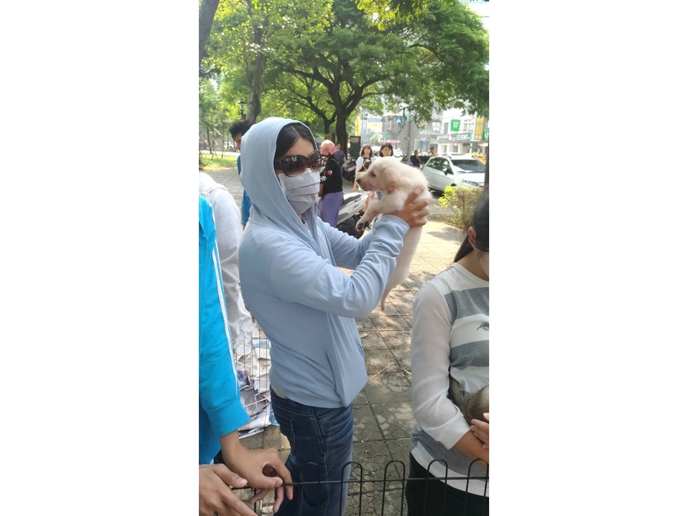 圖片說明