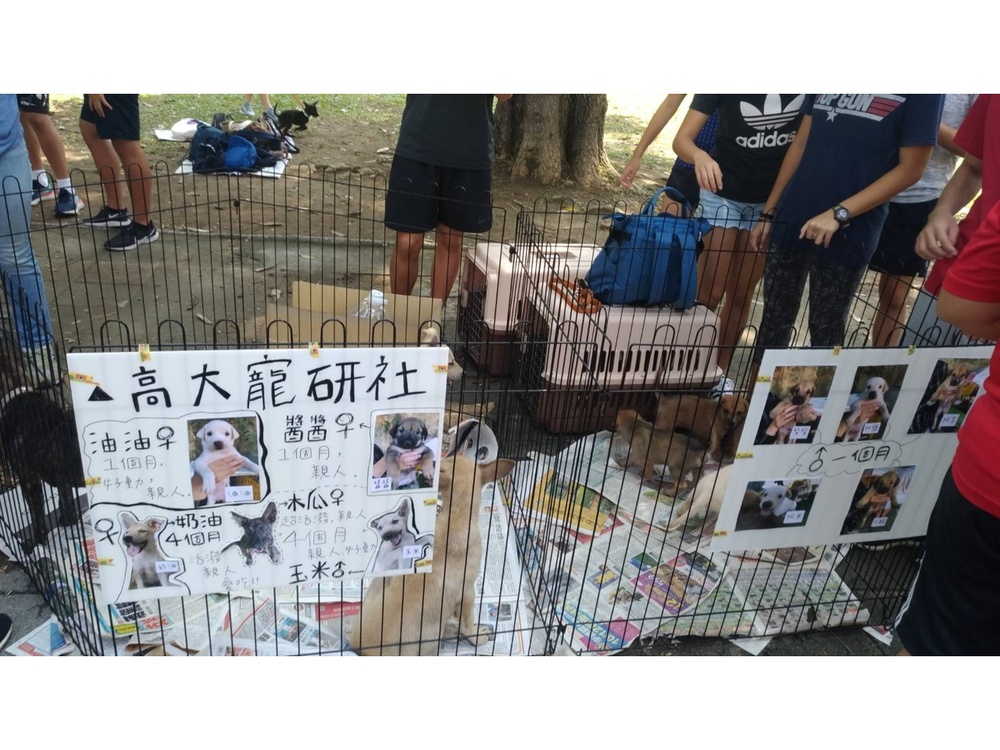 圖片說明