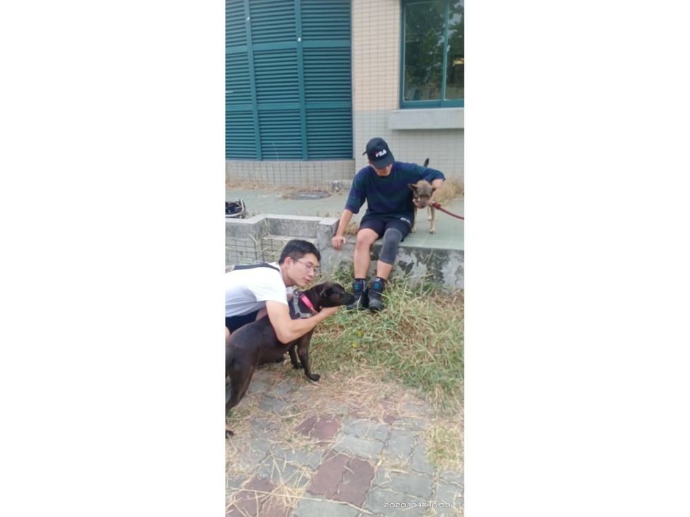 圖片說明