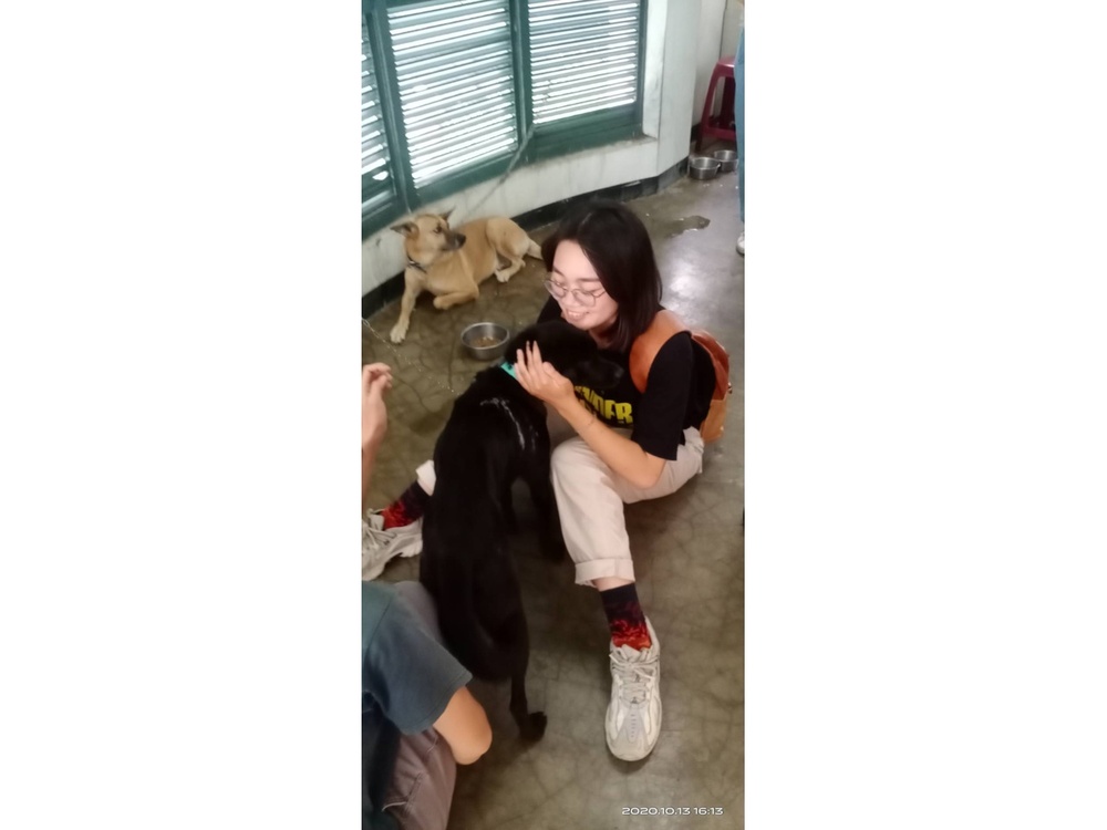 圖片說明