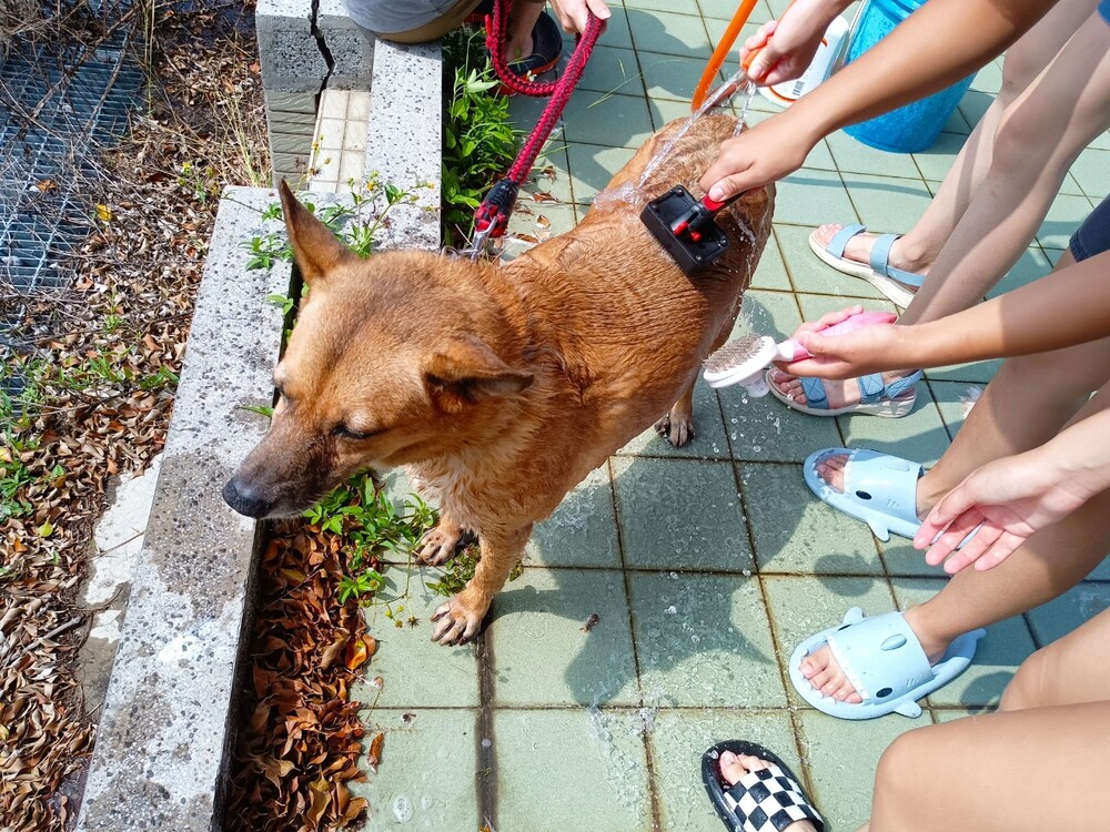 圖片說明