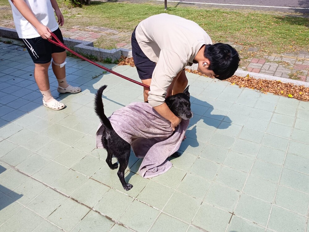 圖片說明