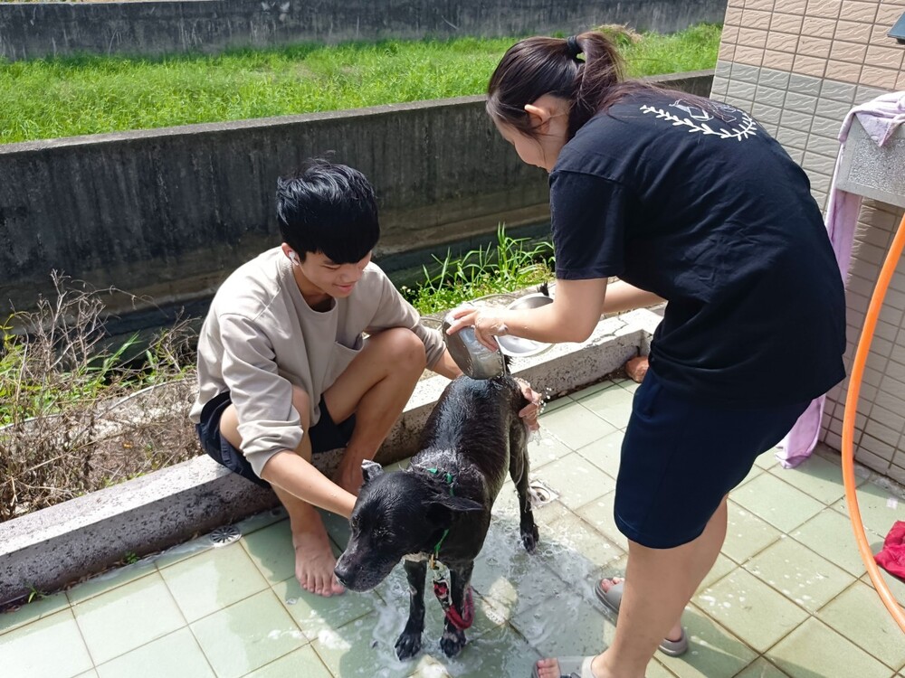 圖片說明