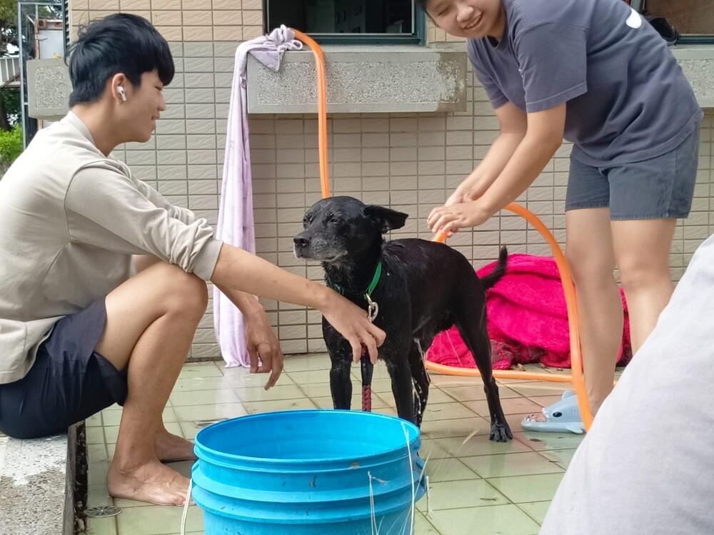 圖片說明