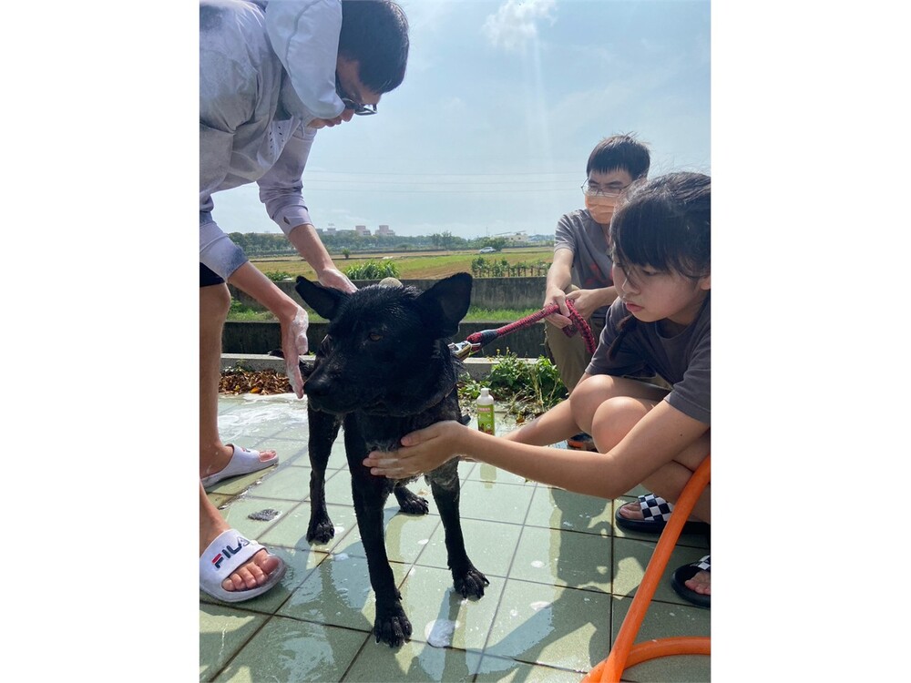圖片說明