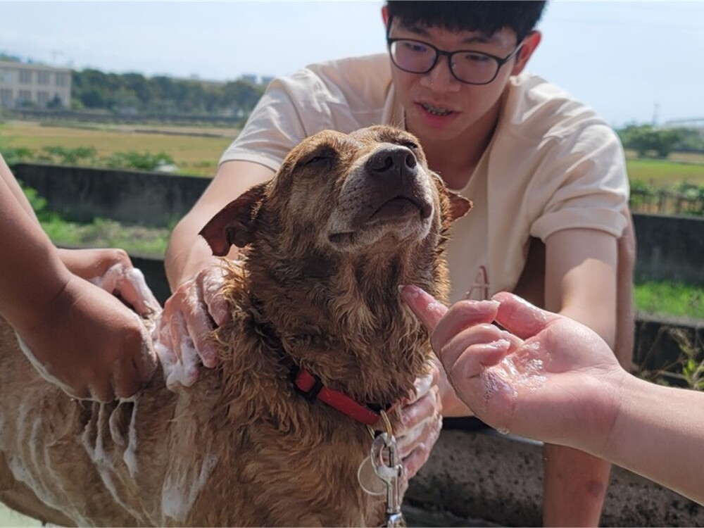 圖片說明
