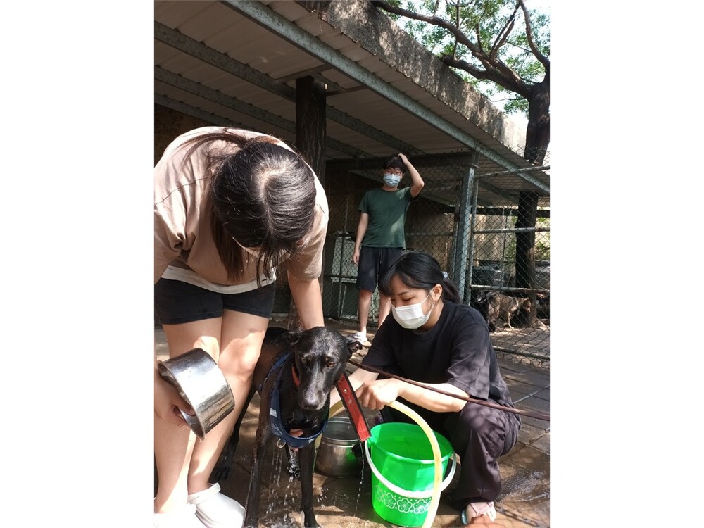 圖片說明