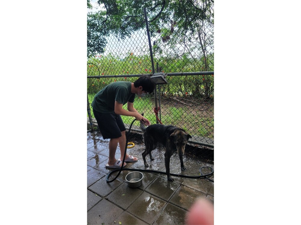 圖片說明