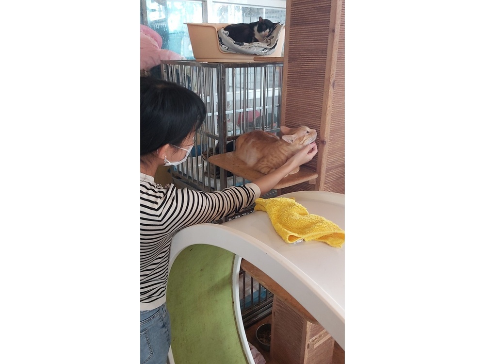 圖片說明