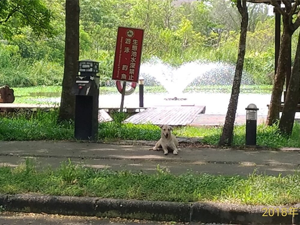 圖片說明