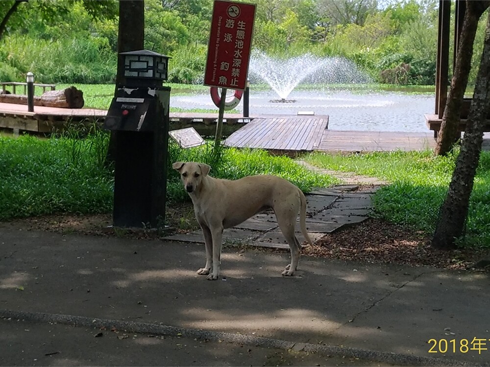 圖片說明