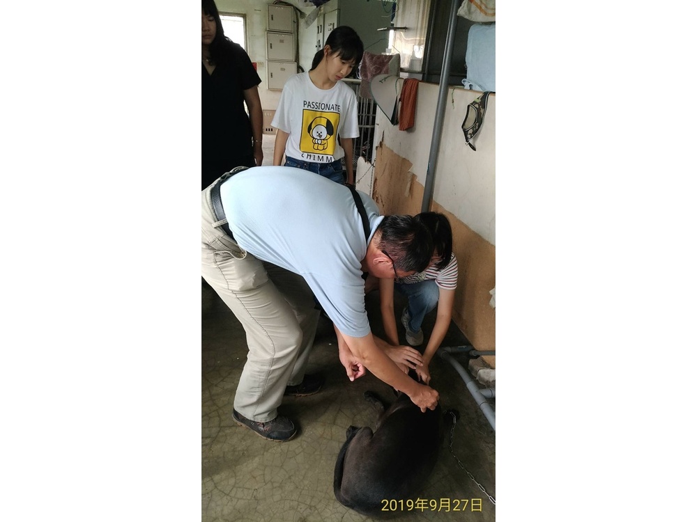 圖片說明