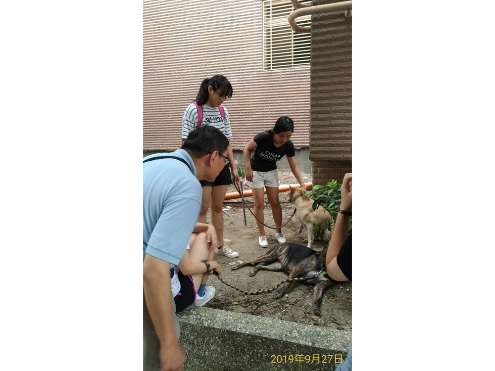 圖片說明