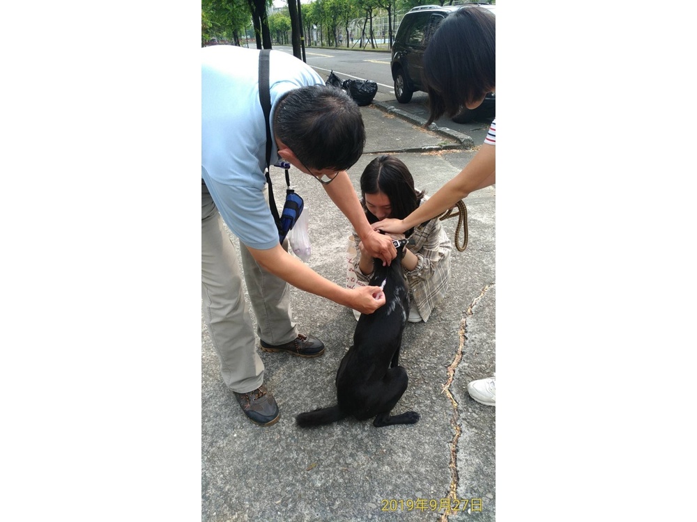 圖片說明