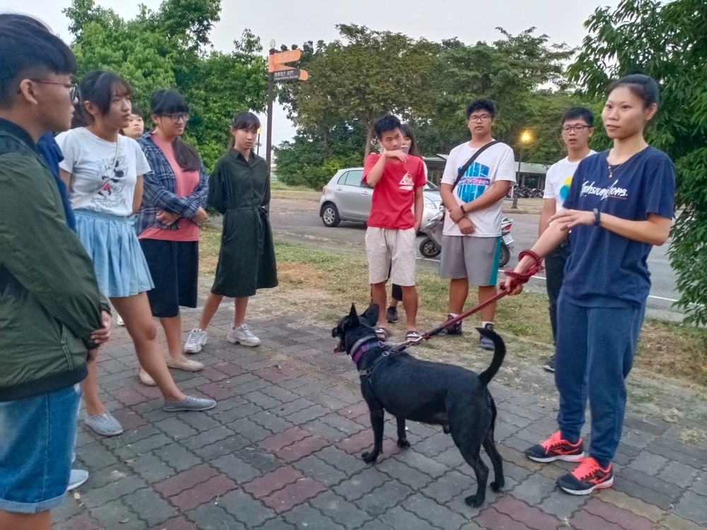 圖片說明