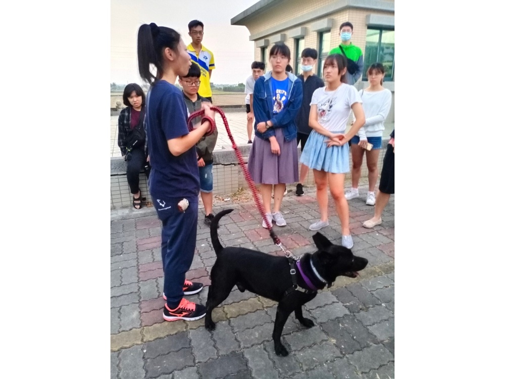 圖片說明