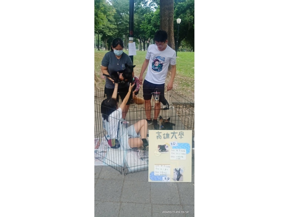 圖片說明