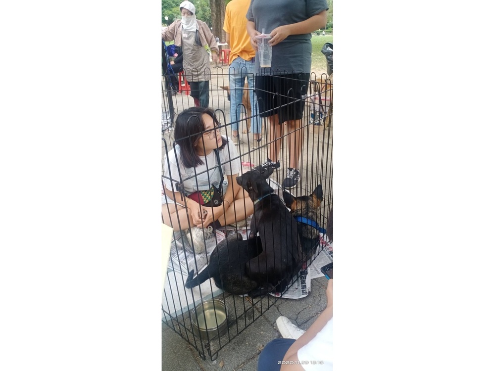 圖片說明