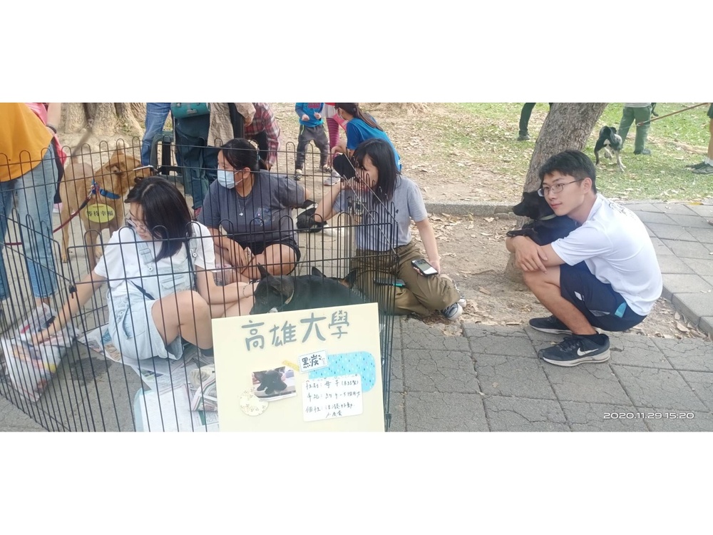 圖片說明