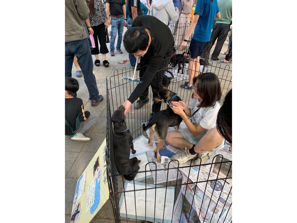 圖片說明
