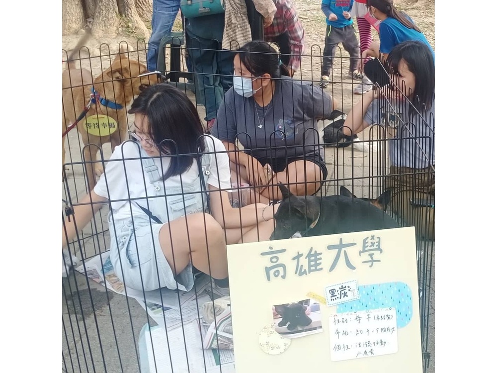 圖片說明