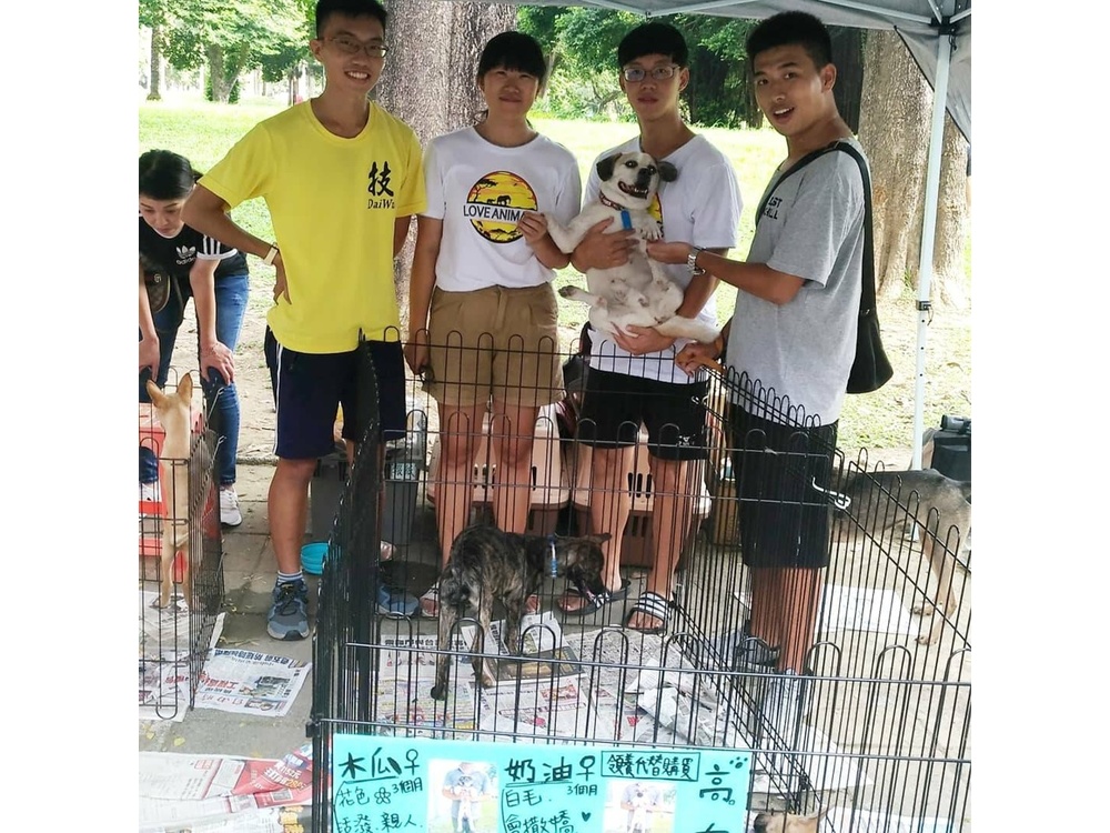 圖片說明