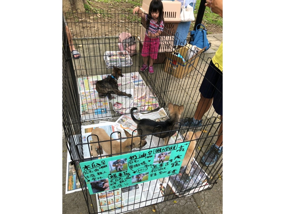 圖片說明