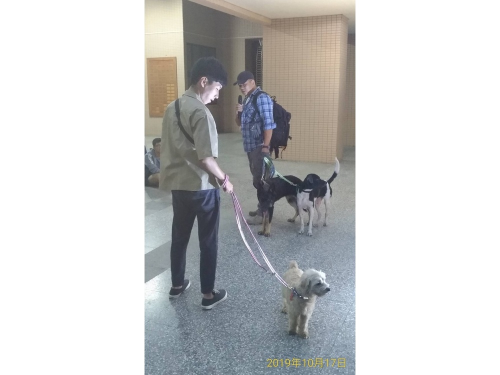圖片說明
