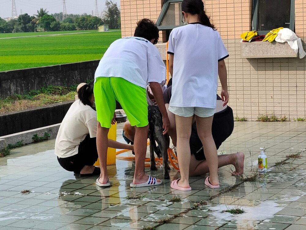 圖片說明