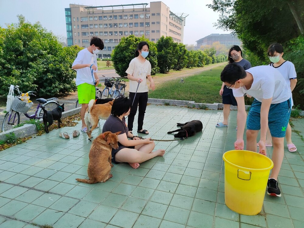 圖片說明