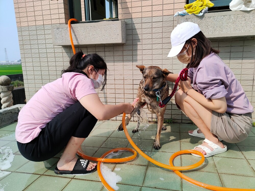 圖片說明