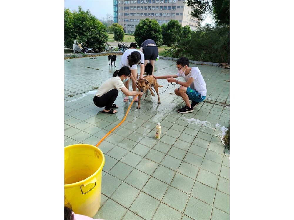 圖片說明